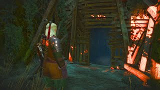 200 Times Playing the Witcher 3 and I Still Didnt Know This Hidden Cave [upl. by Haggar]