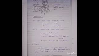 Superficial palmar arch notes 📝Anatomy [upl. by Januarius]