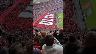 Allianz Arena atmosphere Bayern Munich [upl. by Firman877]