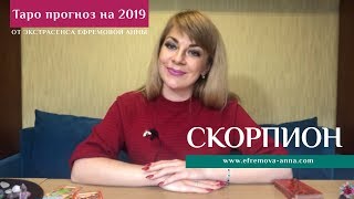 СКОРПИОН  таро прогноз на 2019 год от Экстрасенса Ефремовой Анны [upl. by Yee100]