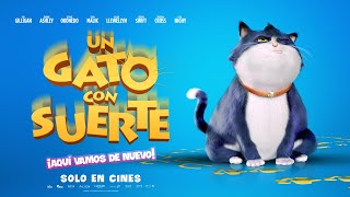 Un Gato con suerte 10 Lives  Trailer Oficial [upl. by Link]