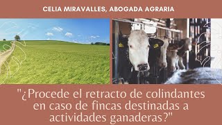 ¿Procede el retracto de colindantes en caso de fincas destinadas a actividades ganaderas retracto [upl. by Anjanette]