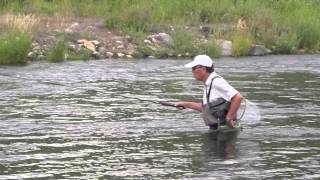 Tenkara Casting Technique with Dr Ishigaki [upl. by Sadinoel]