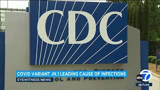 COVID JN1 variant now leading cause of infections in United States CDC says [upl. by Sullivan]