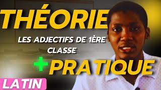 Latin Les ADJECTIFS de 1ère classe Théorie  Pratique [upl. by Lundgren]