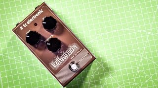 TC Electronic ECHOBRAIN Analog Delay  in depth review [upl. by Allene]