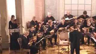 Rumba Dieter Kreidler Mandolinen Orchester Ettlingen [upl. by Stolzer303]