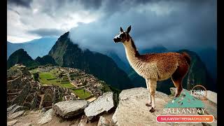 Salkantay Trek to Machu Picchu 2024  2025 [upl. by Esilehs]