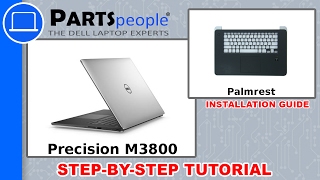 Dell Precision M3800 P31F001 Palmrest HowTo Video Tutorial [upl. by Fretwell]