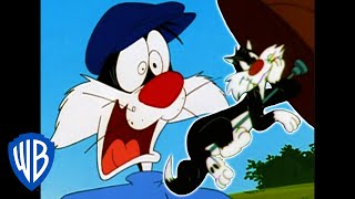 Looney Tunes  Best of Sylvester  WB Kids [upl. by Idmann464]