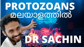 protozoans class 11  malayalam  biological classification class 11  kingdom protista [upl. by Dadivitan]