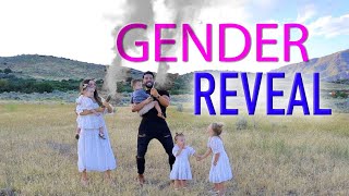 THE CHATWINS OFFICIAL GENDER REVEAL [upl. by Benedic]