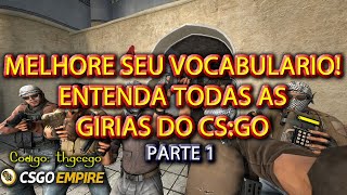 15  GÍRIAS UTILIZADAS NO CSGO  ENTENDA OS PROFISSIONAIS 2021  PARTE 1 DE 5 [upl. by Gussie]