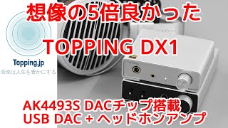 想像の5倍良かった！TOPPING DX1 レビュー AK4493S DACチップ搭載 USB DAC  ヘッドホンアンプ [upl. by Philipp]