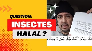 Islam  les Insectes sont Halal [upl. by Krystalle]