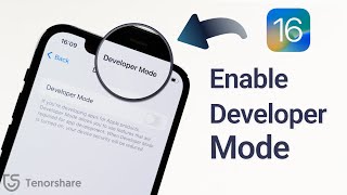 How to Enable iPhone Developer Mode on New iOS 181716  2 Ways in 2024 [upl. by Tonie33]