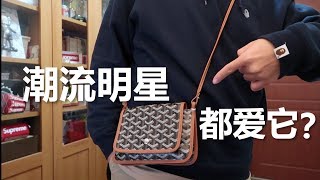 Nigo最爱，Goyard Pulmet信封包开箱，顺便聊聊这个比LV早一年创立的小众奢侈品品牌 [upl. by Karalee]