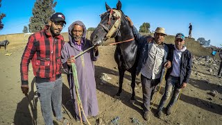 فلوق سوق الثلاثاء الخميسات 01102019 driss mouzon  تباع خيل 🐎🐎 قدامي ب 10 دالميلوون بك بك [upl. by Acinhoj]