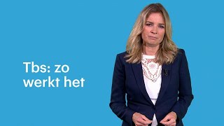 Er zitten 1460 mensen in een tbskliniek zo werkt tbs [upl. by Ungley930]