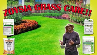 How To Care For Zoysia Grass Full Guide Fertilizer  Mowing  Watering  Pest  Fungus  Weeds [upl. by Rhoads]