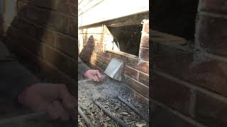 CLEANING A DRYER VENT almetaldryervent satisfying shorts shortvideo short fyp fypシ [upl. by Ahsinrat]