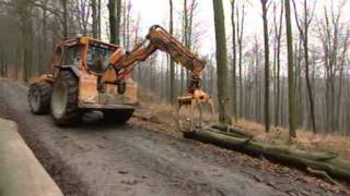 Markierte Bäume  Sachgeschichten  Die Sendung mit der Maus  WDR Fernsehen [upl. by Graybill]