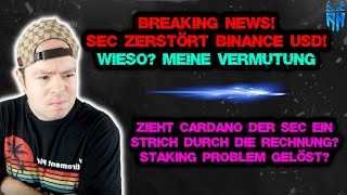 Aus für BUSD SEC Ermittelt gegen herausgeber Paxos❗ Kann Cardano das US Staking Dilemma lösen ada [upl. by Beard390]