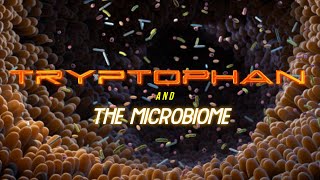 Tryptophan and the Microbiome [upl. by Hyacinthie638]