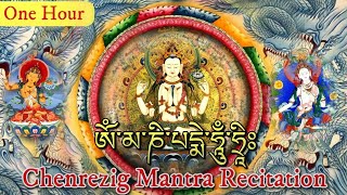 ☸Om Mani Padme Hum Chenrizig Mantra 1 Hourཨོཾ་མ་ཎི་པདྨེ་ཧཱུྃ་ཧྲཱིཿRecitationAvalokiteshvara [upl. by Andrey]