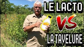 Le LACTOSÉRUM pour contrer la TAVELURE [upl. by Socher]