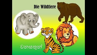 Learn German in Sinhala Lesson 40 Die Wildtiere und die Haustiere [upl. by Lorrin905]