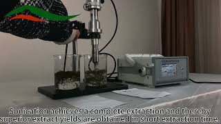 Dry Green Tea Ultrasonic Extraction By 20KHz Industry Ultrasonic Homogenizer [upl. by Siurtemed779]