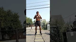 Boxing Footwork Agility Ladder Bodybuilding Strength amp Conditioning [upl. by Nidnerb]