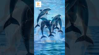 Discover the playful reasons why dolphins leap out of the water dolphins [upl. by Llerrehc]