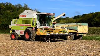 CLAAS DOMINATOR 202  Maïs Grain 2017 [upl. by Eiramit]