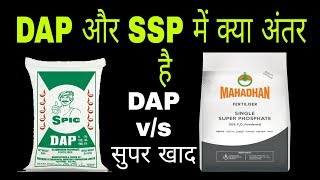 SSP vs DAPsingle super phosphate and diammonium phosphate fertilizer [upl. by Cleopatra157]