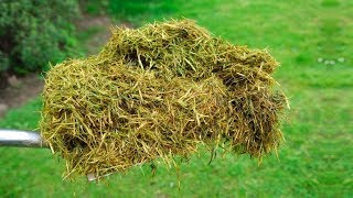 You Will Never Throw Away Grass Clippings After Watching This [upl. by Crooks]