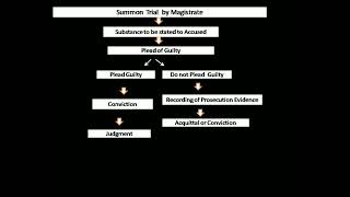 Summon Trial by Magistrate CrPC  By CA Anjali [upl. by Nomannic818]