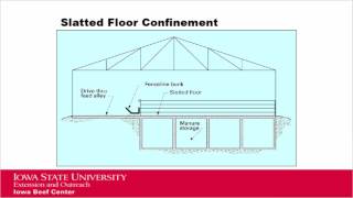 Feedlot Cattle Performance and Facility Type [upl. by Candra415]