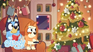 Christmas with the Heelers🎄  Bluey Christmas  Bluey [upl. by Akener]