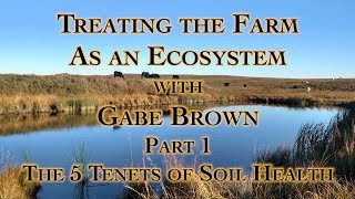 Treating the Farm as an Ecosystem with Gabe Brown Part 1 The 5 Tenets of Soil Health [upl. by Storm]