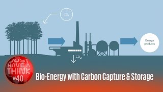 BioEnergy with Carbon Capture and Storage BECCS [upl. by Ynes]