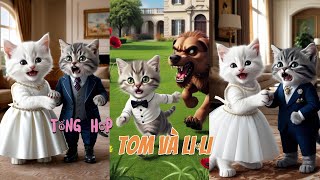 Tổng hợp tom và li li vairalvideo youtube ngaycuameo [upl. by Trinity]