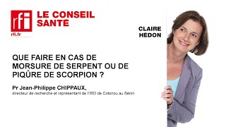 Que faire en cas de morsure de serpent ou piqûre de scorpion [upl. by Idnac]