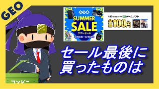 【ゲオセール】GEOのサマーセールで最後に買ってきた【3DS】 [upl. by Weisburgh518]