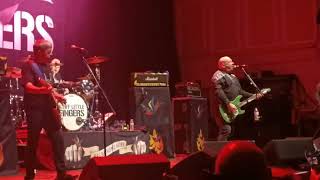 Stiff Little Fingers  Alternative Ulster  O2 City Hall  Newcastle 2024 [upl. by Griggs319]