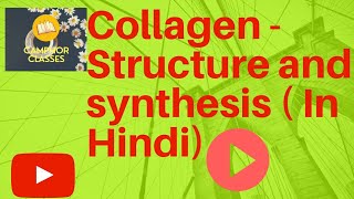 Biochemistry Collagen structure and synthesis HINDI [upl. by Kutchins]