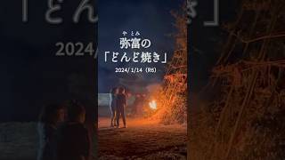 【炎】弥富の「どんど焼き」〜佐倉に伝わる風習〜（2024114） 佐倉市 shorts [upl. by Dalton]