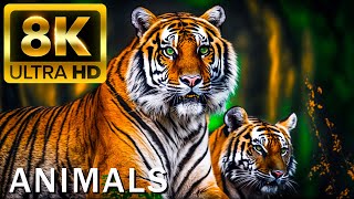 TOP 50 BEAUTIFUL ANIMALS  4K HDR 120fps Dolby Vision with Animal Sounds Colorfully Dynamic [upl. by Haily]