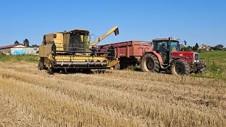 Soirée des moissons de colza🇨🇵🌾🐄🚜 [upl. by Ahsieki]